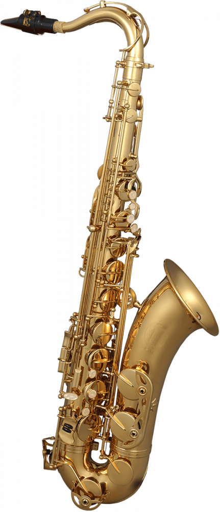 Anches Saxophone Alto Débutants