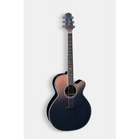 Takamine LTD 2024 - Vue 1