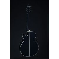 Takamine LTD 2024 - Vue 2