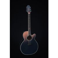 Takamine LTD 2024 - Vue 3