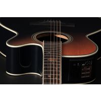 Takamine LTD 2024 - Vue 4