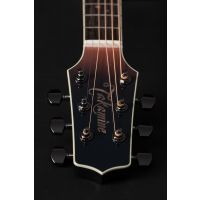 Takamine LTD 2024 - Vue 5