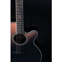 Takamine LTD 2024 - Vue 6