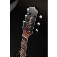 Takamine LTD 2024 - Vue 7