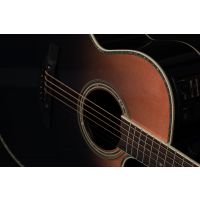 Takamine LTD 2024 - Vue 8